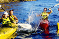 Kayaking Sydney Harbour