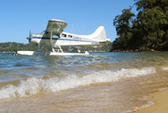 Romantic Seaplane and Beach Picnic